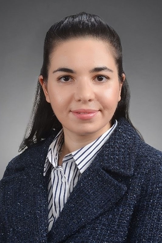 Ani Armine Lea Hamparsumyan – Partner, BSV Law